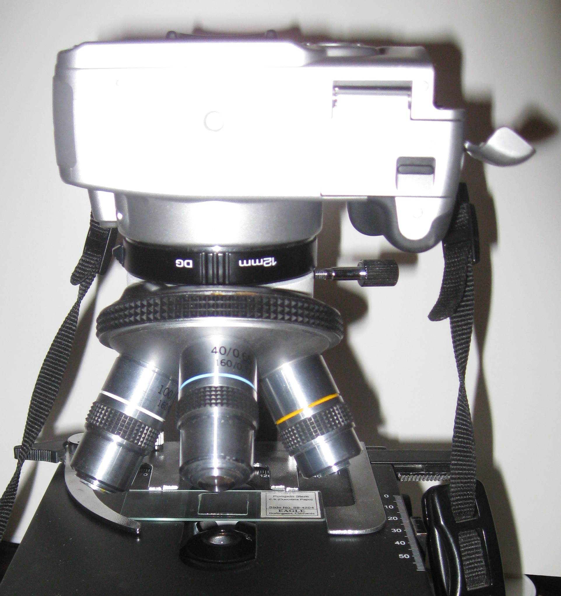 Canon with one extension tube on top of microscope