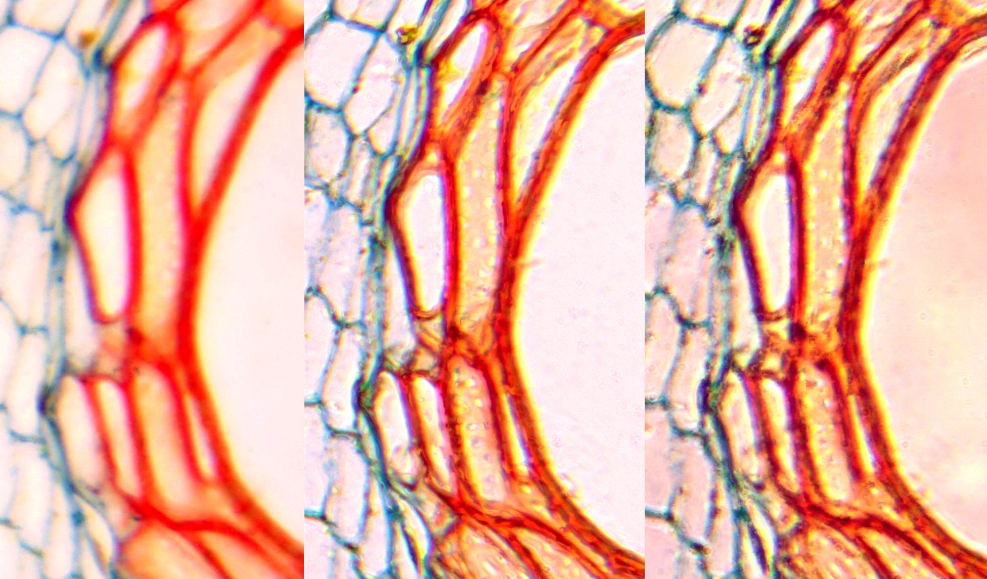 Comparing aperture settings