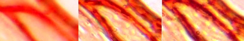 Closeup of aperture comparison