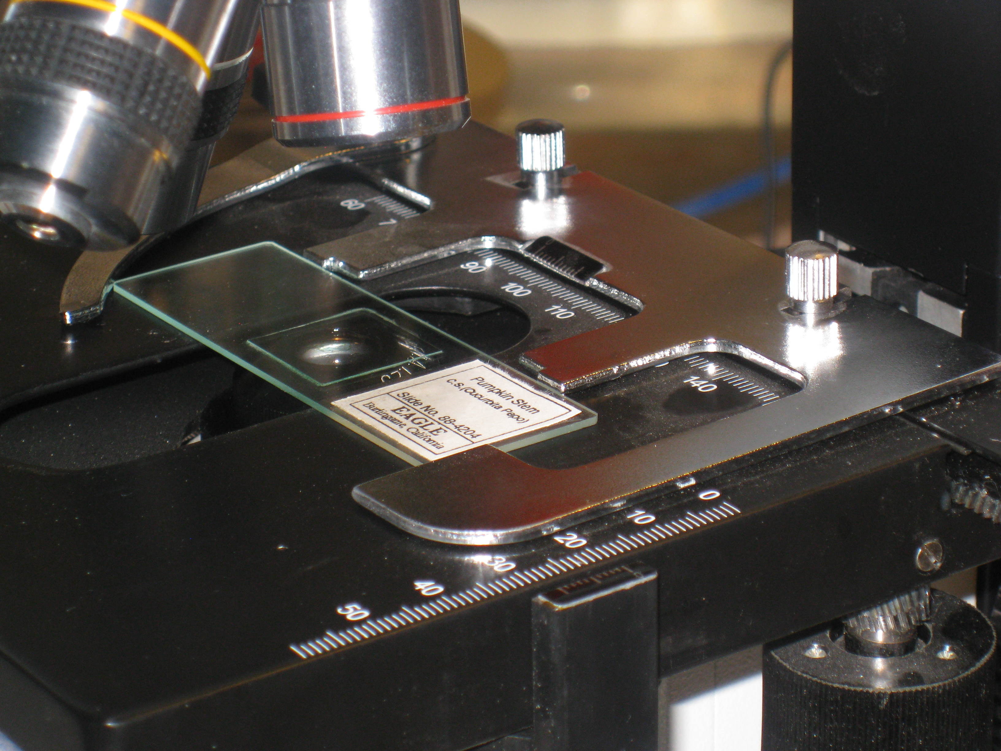 The mechanical stage