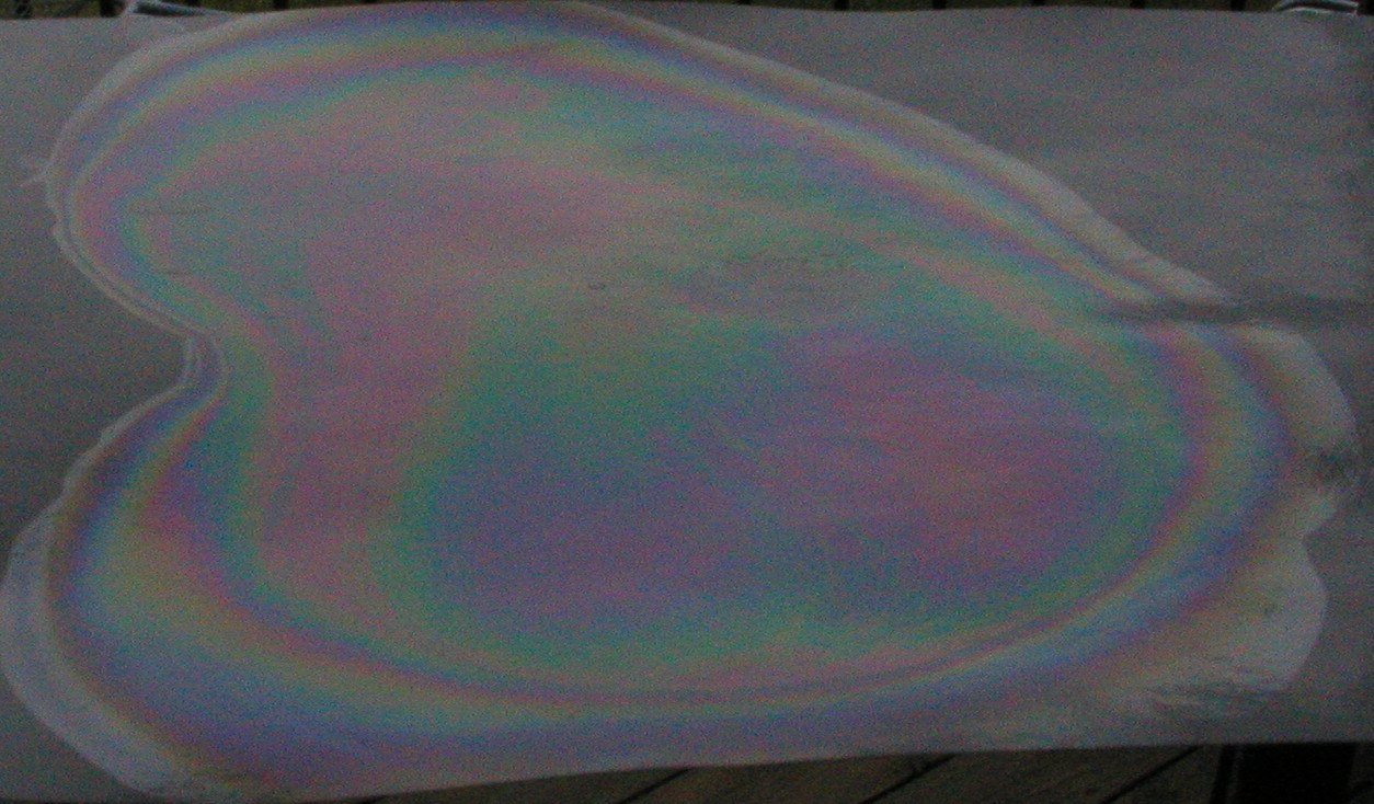 Permanent rainbow #11