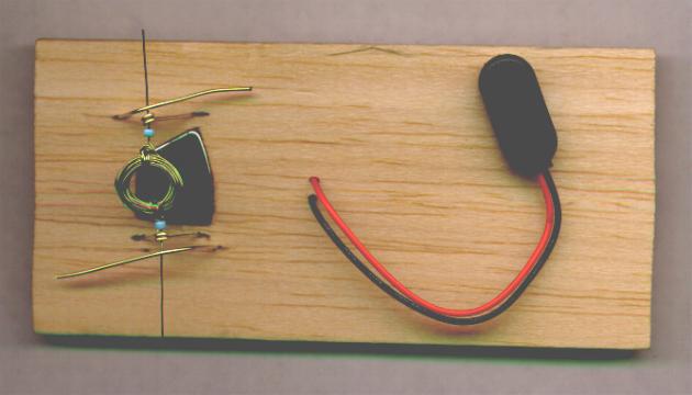 The double brush motor