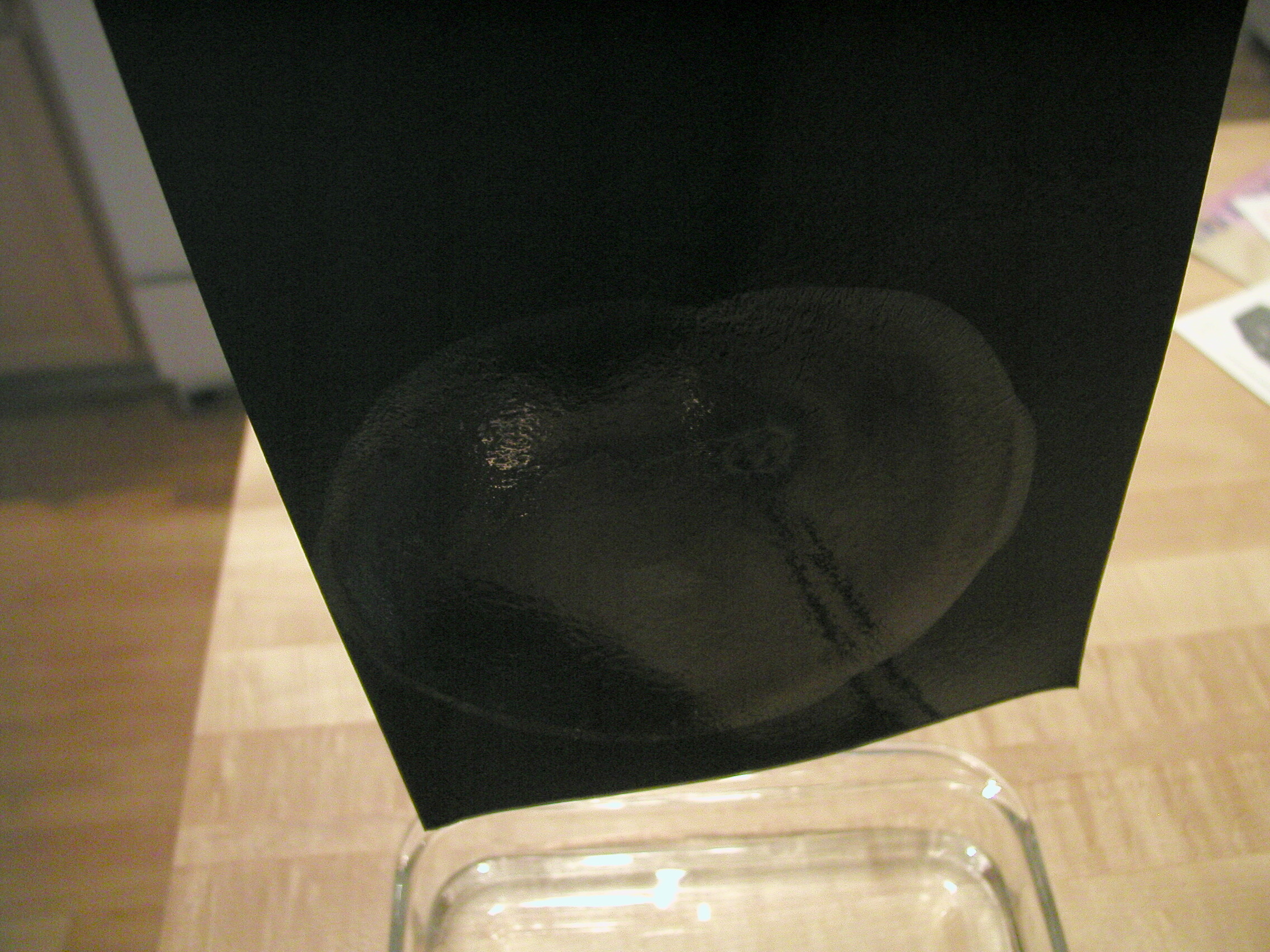 Permanent rainbow #7