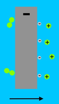 Fuel cell negative electrode