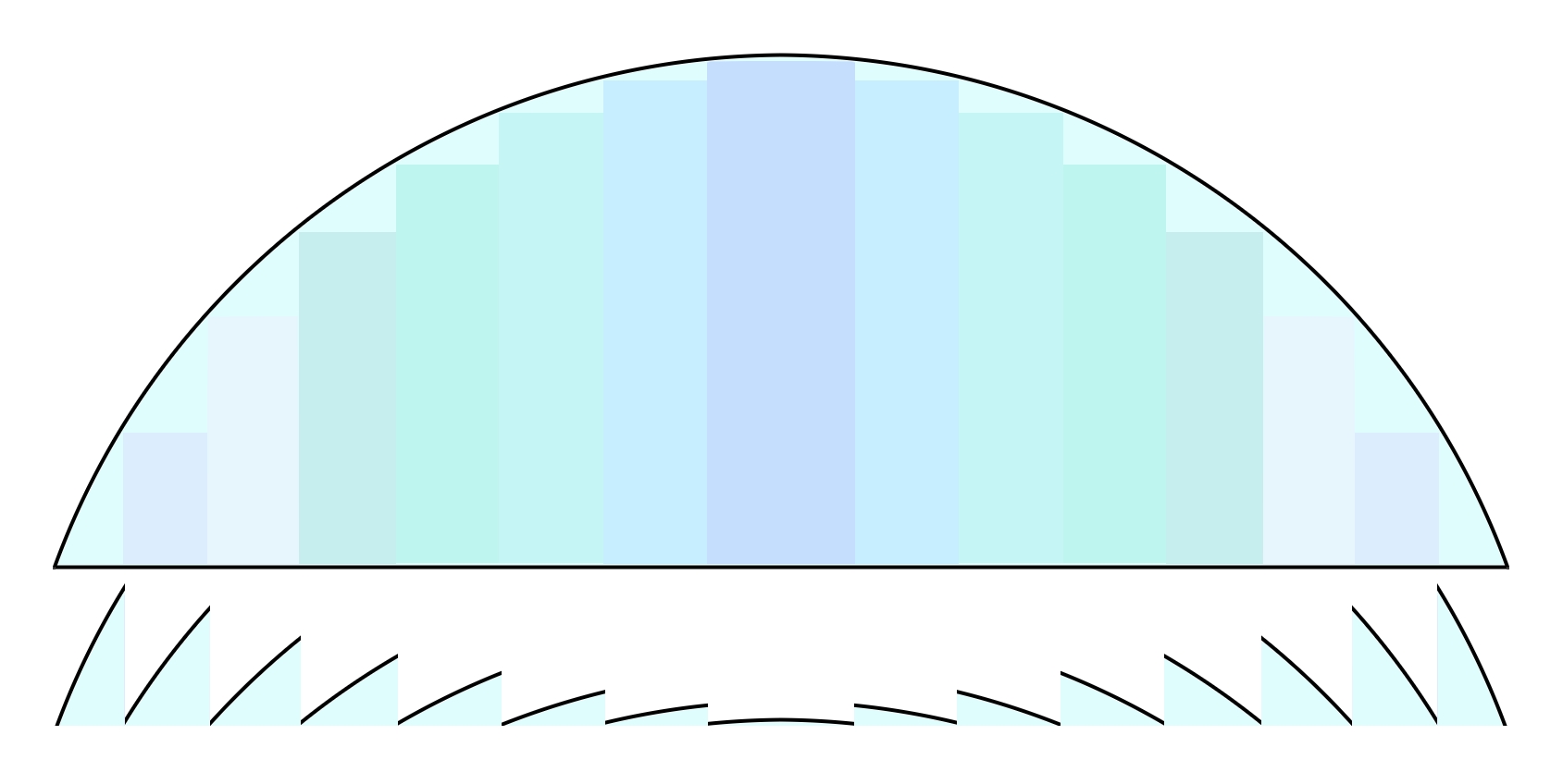 Fresnel diagram