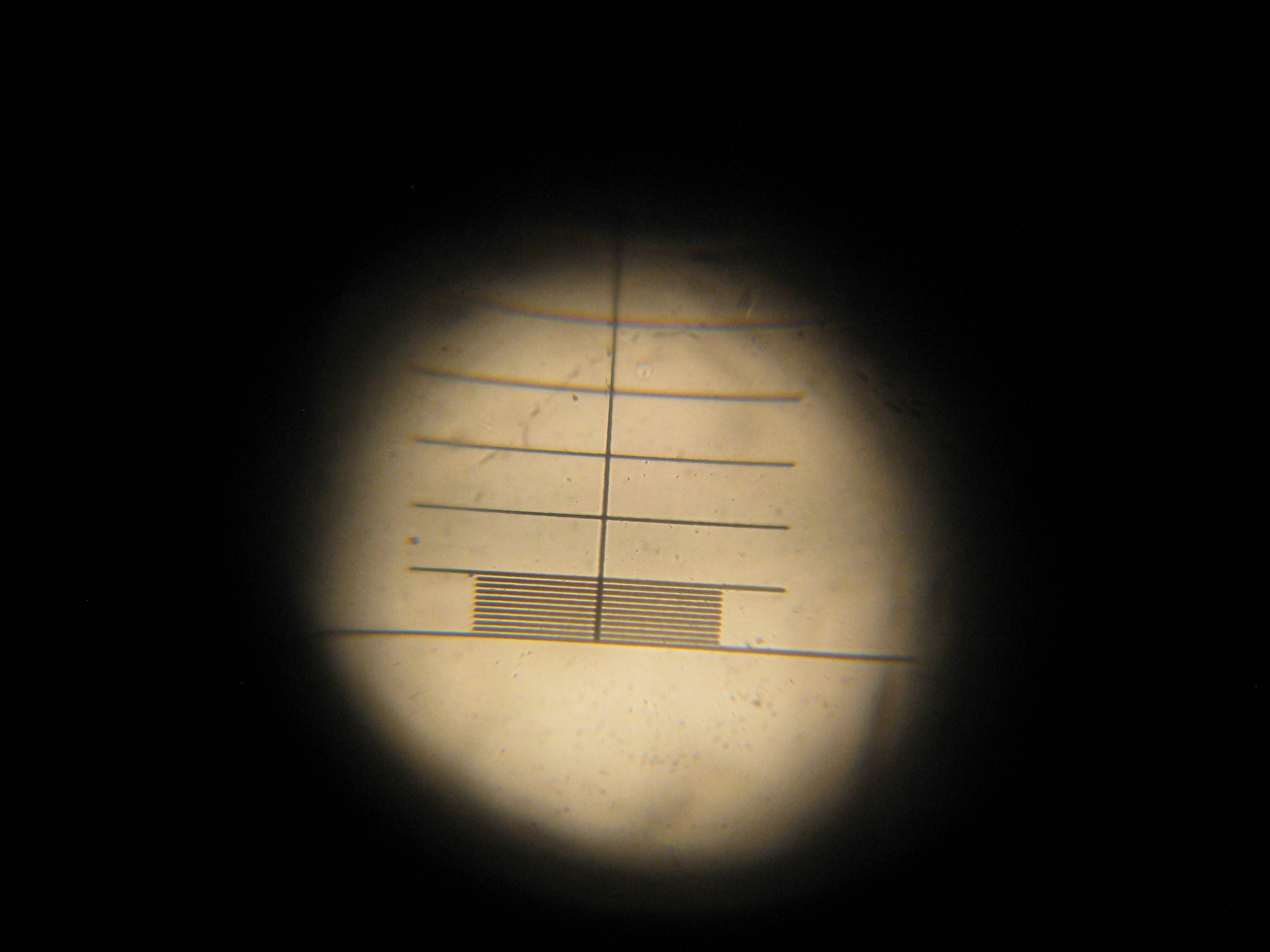 Scale using our lens